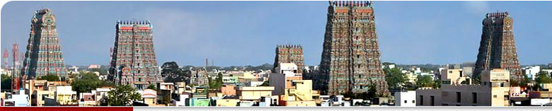 Madurai Meenakshi Sundareswarar Temple